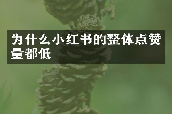 为什么小红书的整体点赞量都低