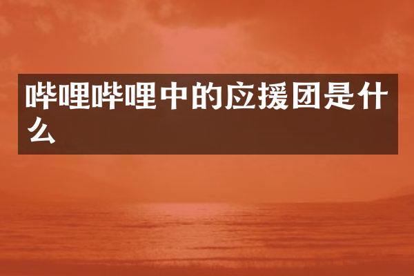 哔哩哔哩中的应援团是什么