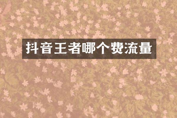 抖音王者哪个费流量