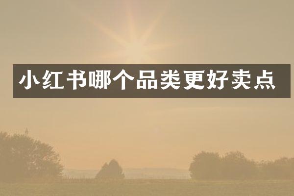 小红书哪个品类更好卖点