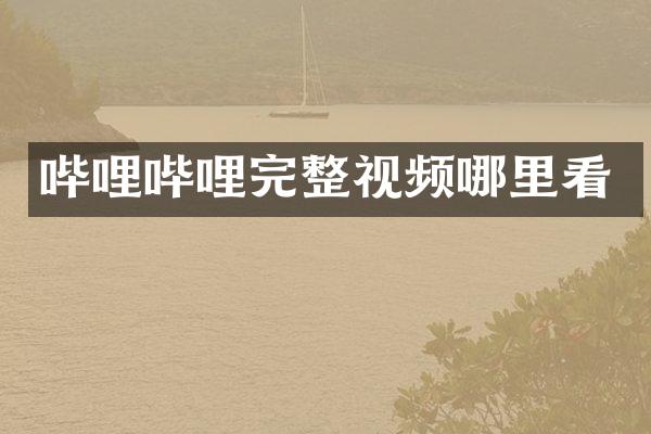 哔哩哔哩完整视频哪里看