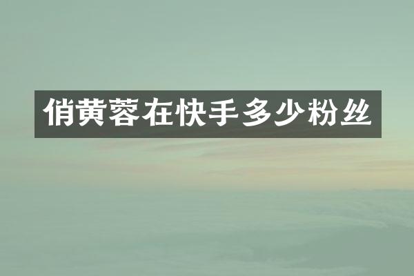 俏黄蓉在快手多少粉丝