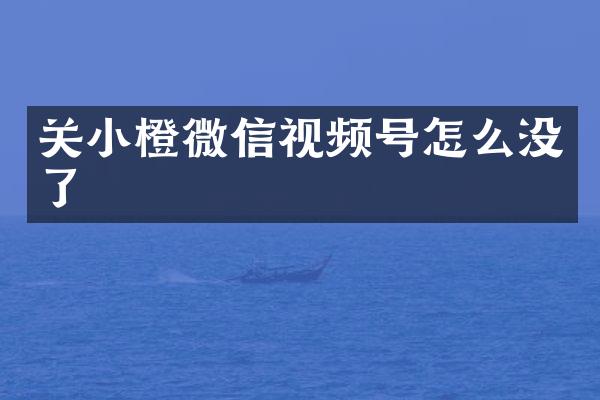 关小橙微信视频号怎么没了