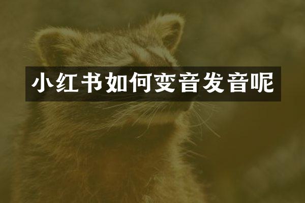 小红书如何变音发音呢