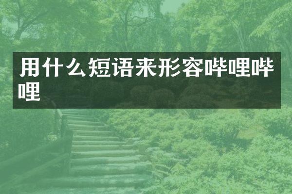 用什么短语来形容哔哩哔哩