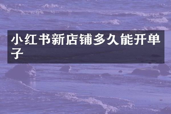 小红书新店铺多久能开单子