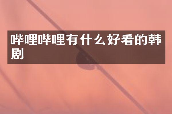 哔哩哔哩有什么好看的韩剧