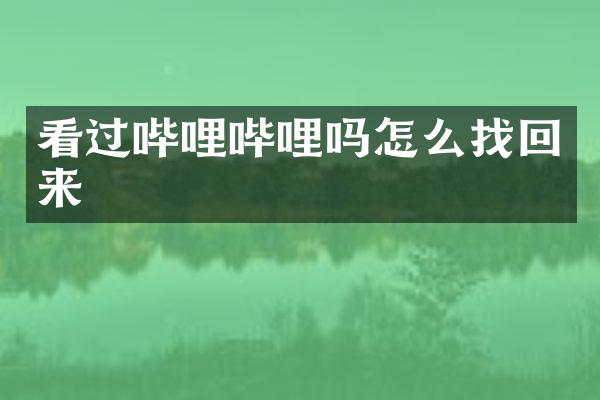 看过哔哩哔哩吗怎么找回来