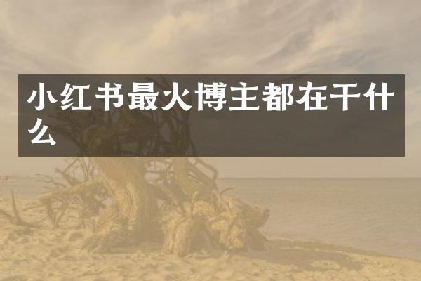 小红书最火博主都在干什么