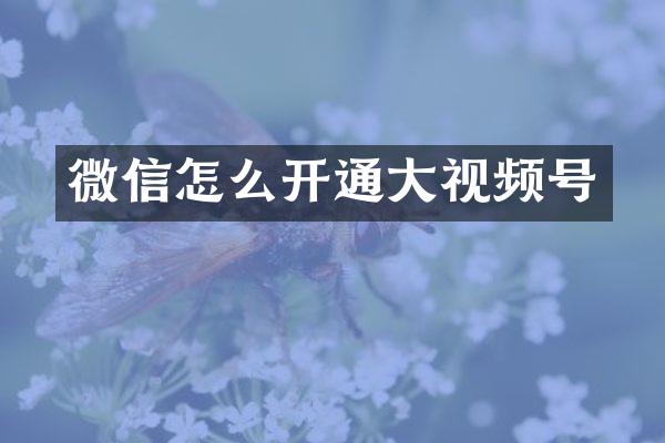 微信怎么开通大视频号