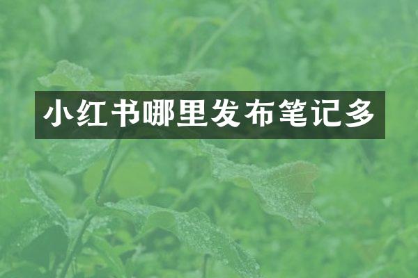 小红书哪里发布笔记多