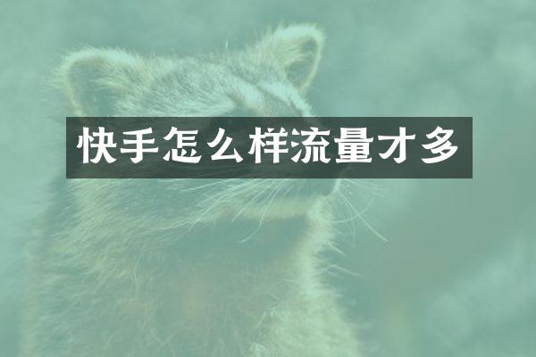 快手怎么样流量才多