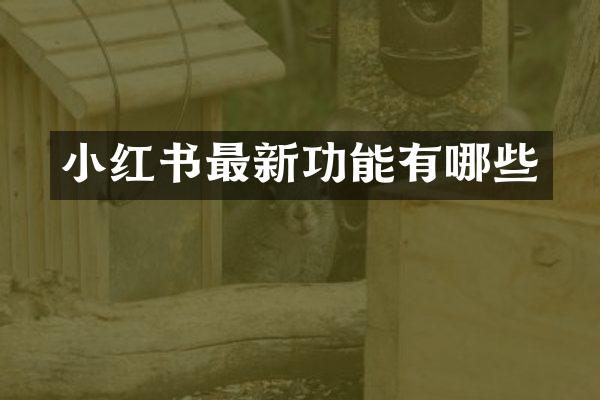 小红书最新功能有哪些