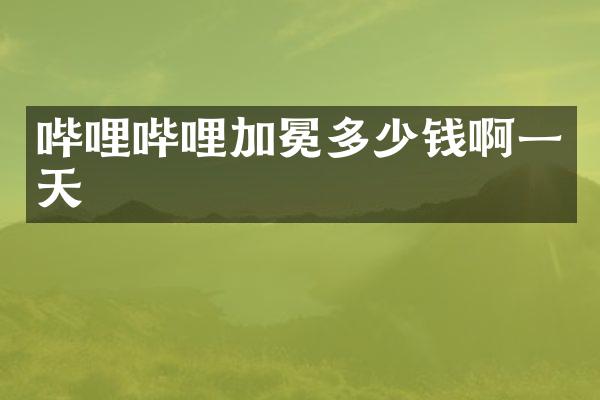 哔哩哔哩加冕多少钱啊一天