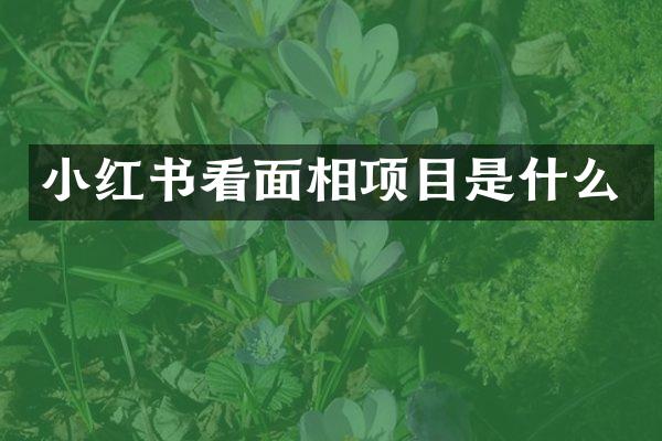 小红书看面相项目是什么