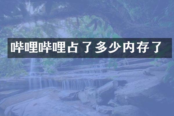 哔哩哔哩占了多少内存了