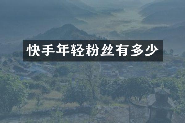 快手年轻粉丝有多少