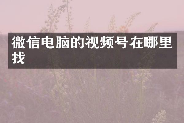微信电脑的视频号在哪里找