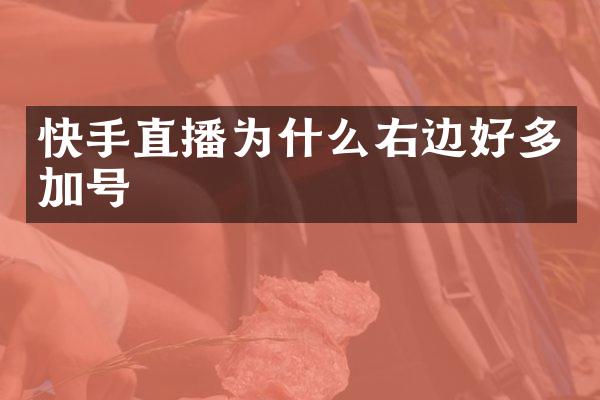 快手直播为什么右边好多加号