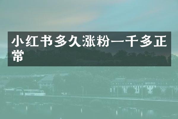 小红书多久涨粉一千多正常