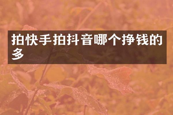 拍快手拍抖音哪个挣钱的多