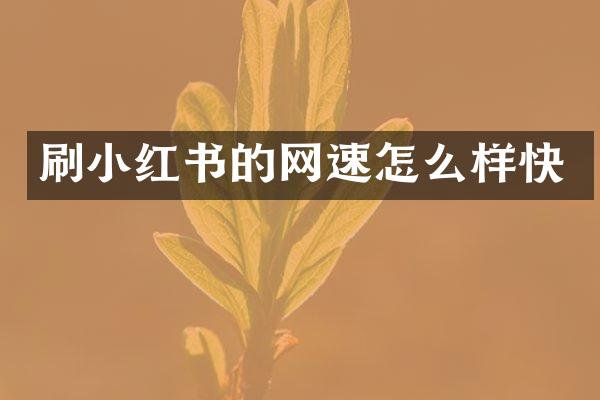 刷小红书的网速怎么样快