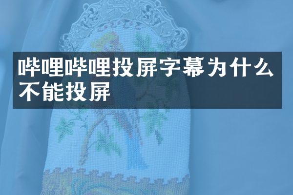 哔哩哔哩投屏字幕为什么不能投屏