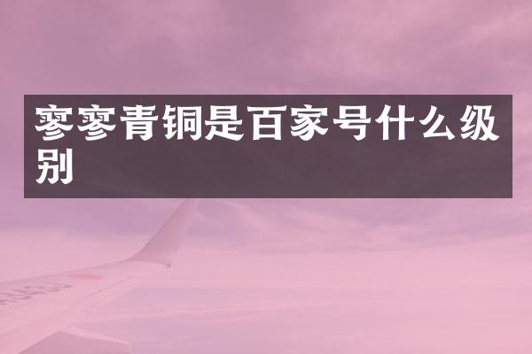寥寥青铜是百家号什么级别