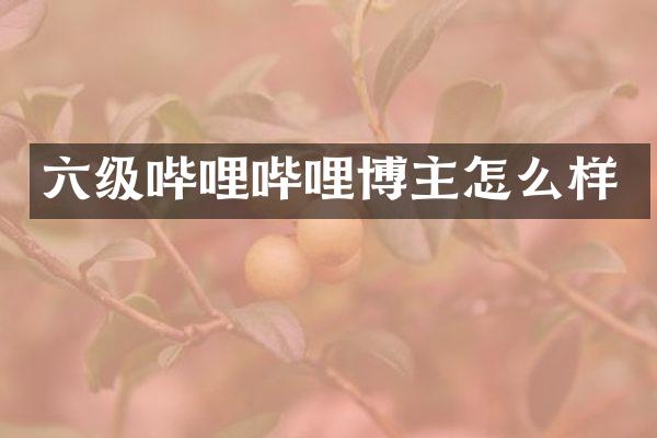 六级哔哩哔哩博主怎么样