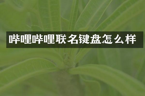 哔哩哔哩联名键盘怎么样