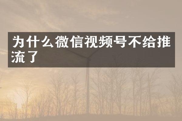 为什么微信视频号不给推流了