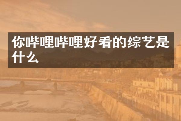 你哔哩哔哩好看的综艺是什么