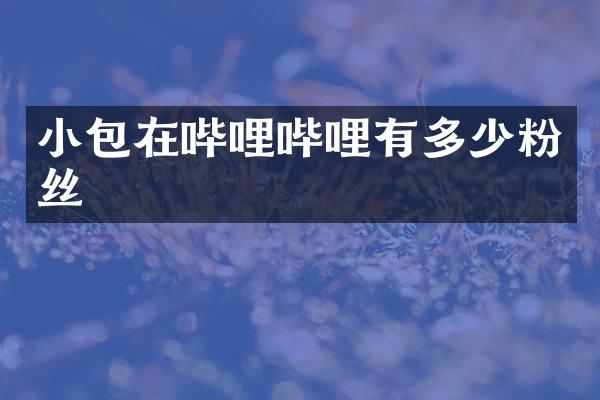 小包在哔哩哔哩有多少粉丝