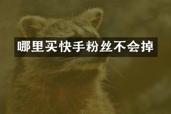 哪里买快手粉丝不会掉