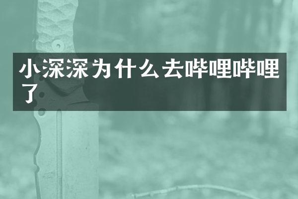 小深深为什么去哔哩哔哩了
