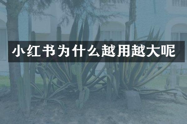 小红书为什么越用越大呢