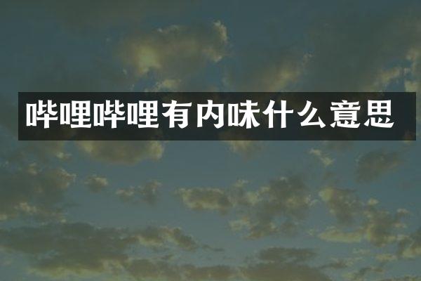 哔哩哔哩有内味什么意思