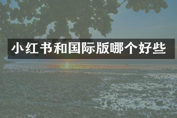 小红书和国际版哪个好些