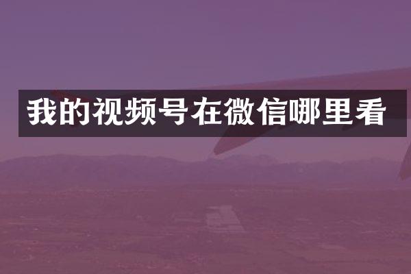 我的视频号在微信哪里看