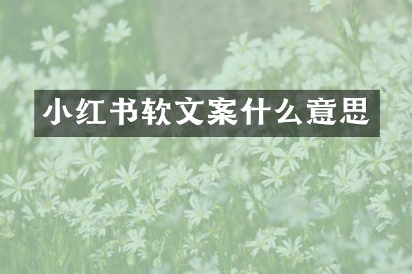 小红书软文案什么意思