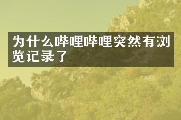 为什么哔哩哔哩突然有浏览记录了