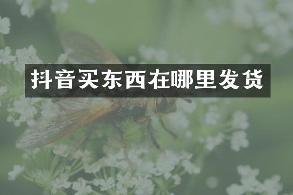 抖音买东西在哪里发货
