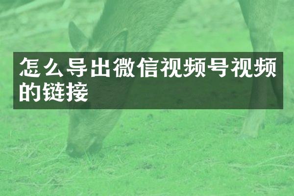 怎么导出微信视频号视频的链接