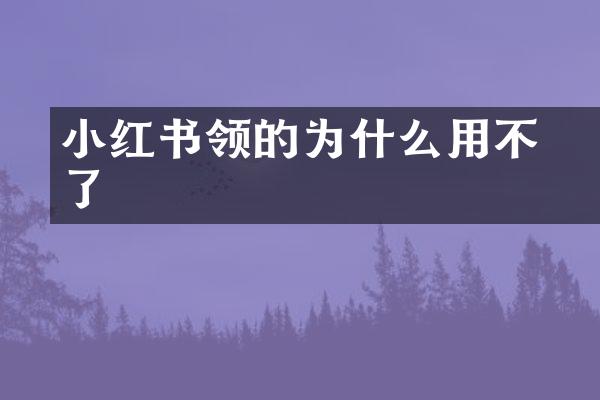 小红书领的劵为什么用不了