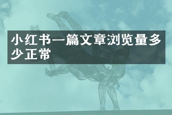 小红书一篇文章浏览量多少正常