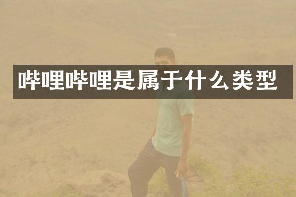 哔哩哔哩是属于什么类型