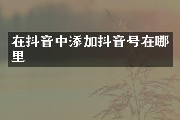 在抖音中添加抖音号在哪里