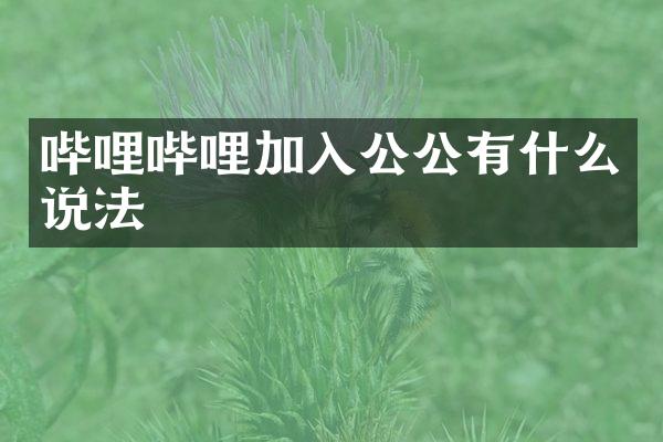 哔哩哔哩加入公公有什么说法