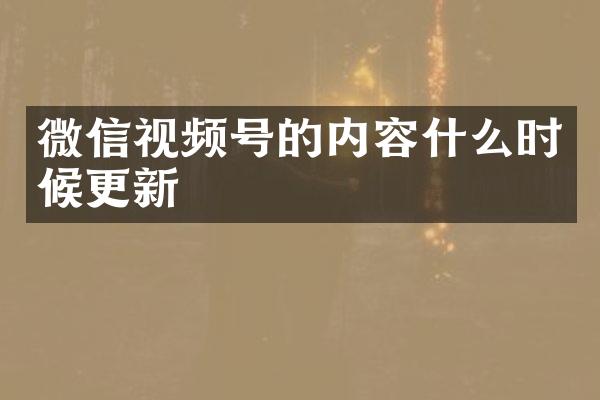 微信视频号的内容什么时候更新