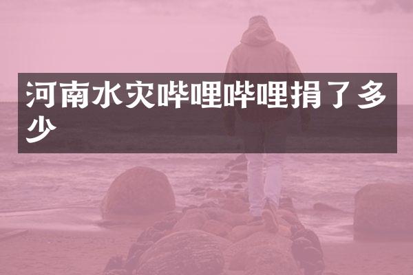 河南水灾哔哩哔哩捐了多少